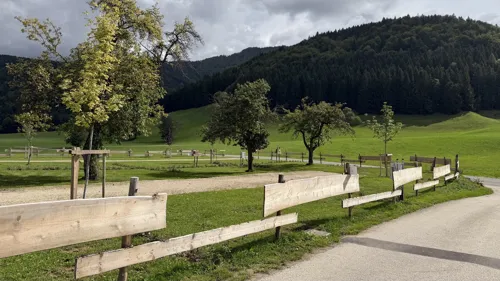Viel Grün zwischen den Stellplätzen.