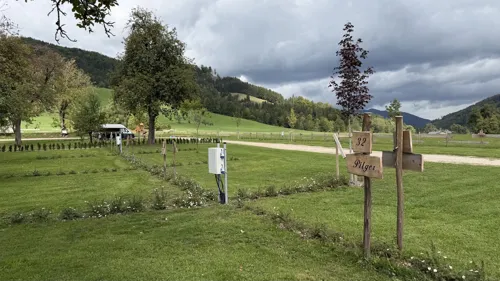 Neue Stromsäulen, junge Sträucher und die Berge im Hintergrund.