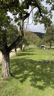 Ein Blick entlang der Wiese.