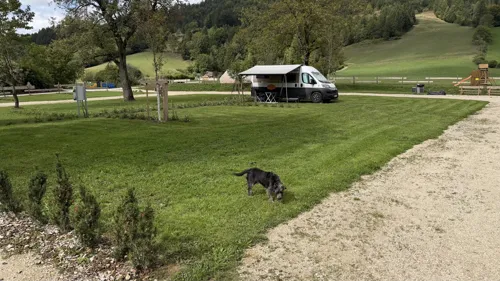 Henry erkundet den Platz. Der Camper wartet schon.