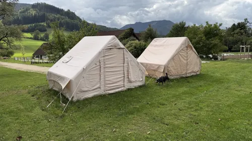 Zelte auf der Wiese.
